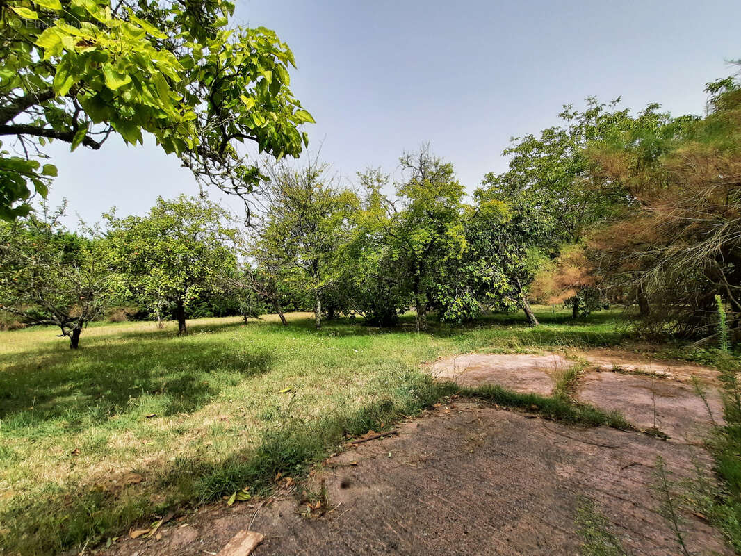 Maison à CASTANET-TOLOSAN