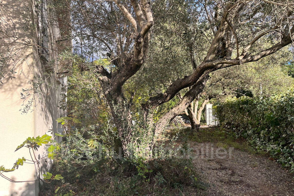 Maison à CASTELNAU-LE-LEZ