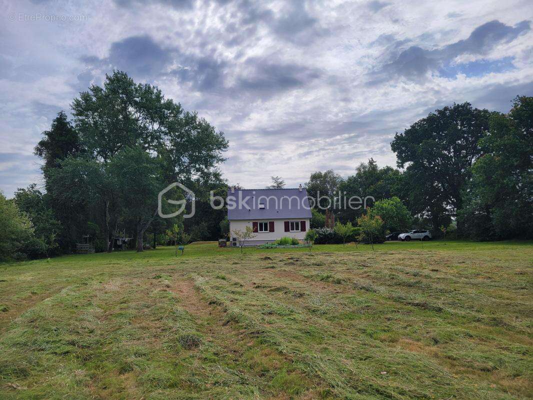Maison avec 22 772 m² de terrain - calme absolu - sans vis-à-vis - photo 3