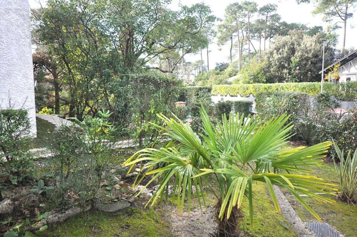 Maison à LE BOUSCAT