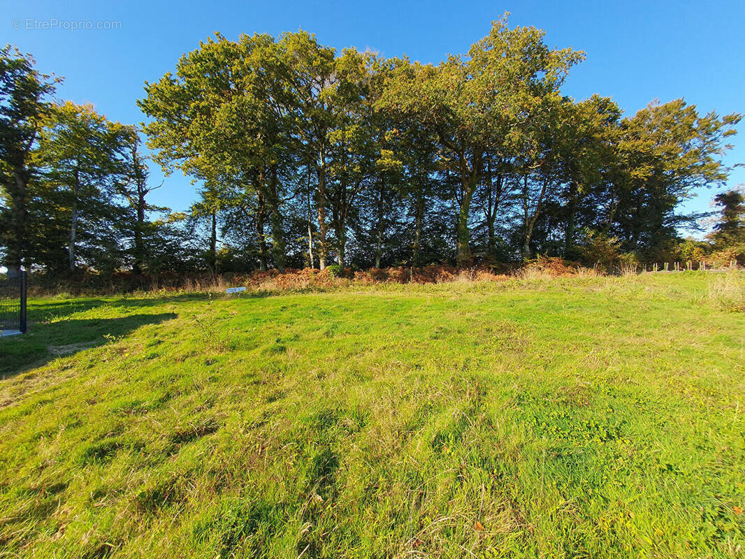 Terrain à QUIMPER