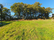 Terrain à QUIMPER