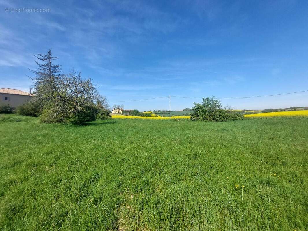 20260410114742 - Terrain à AURIGNAC
