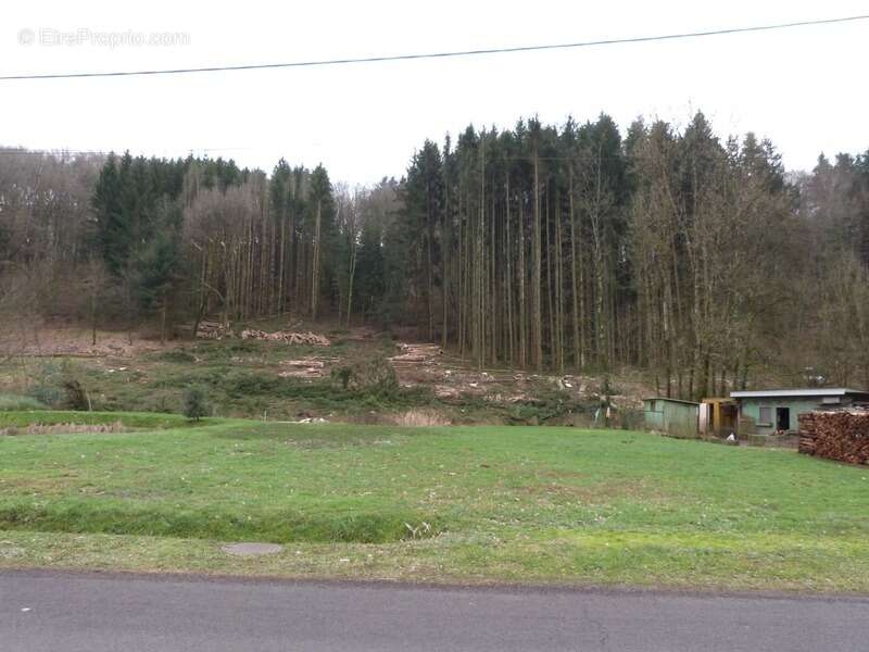 Dpt Moselle (57), à vendre HOTTVILLER terrain - Terrain de 803,00 m² - photo 3