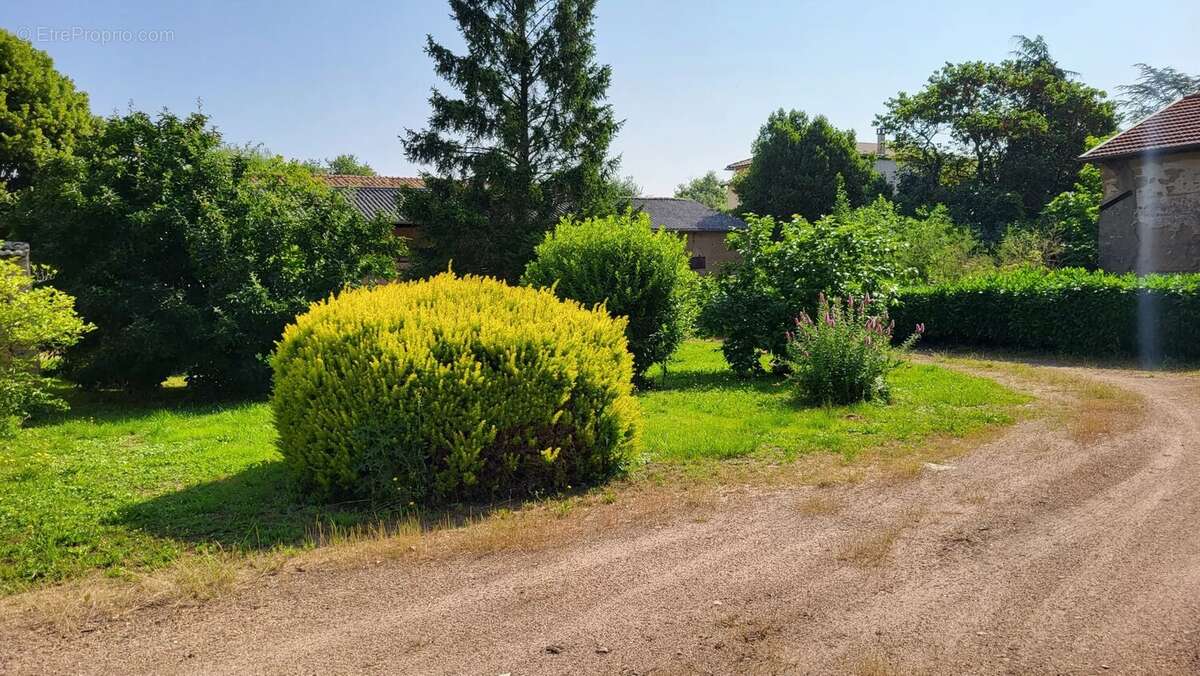 Maison 142 m² à Corcelles-En-Beaujolais  - photo 5