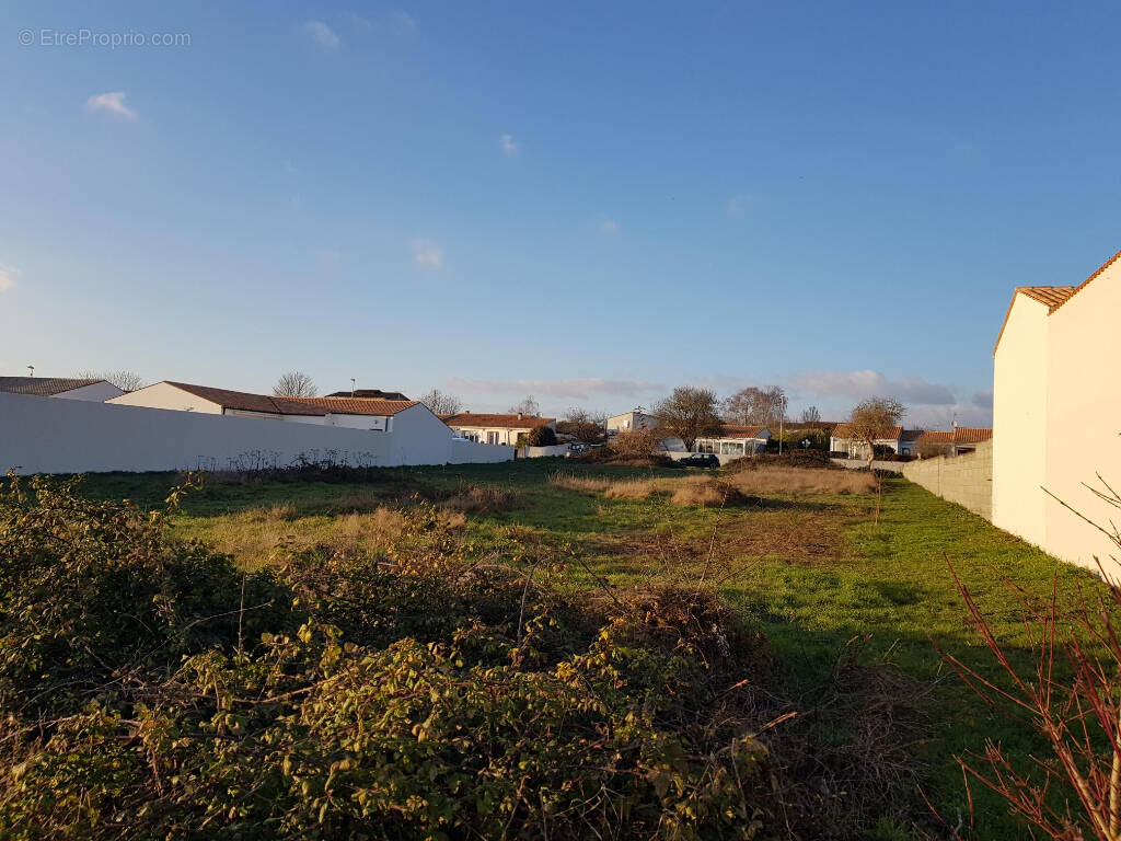Terrain à THAIRE