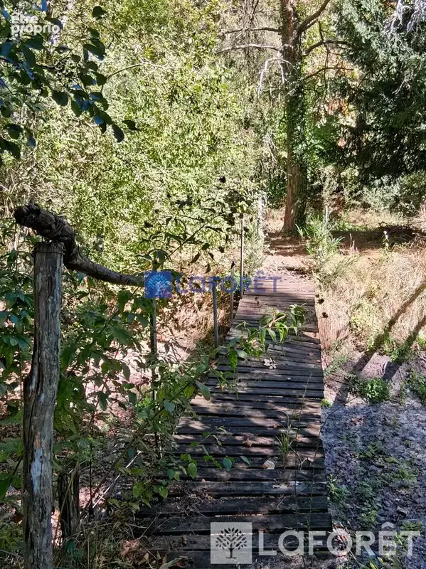 Beau terrain de loisirs avec maisonnette et étang - photo 5