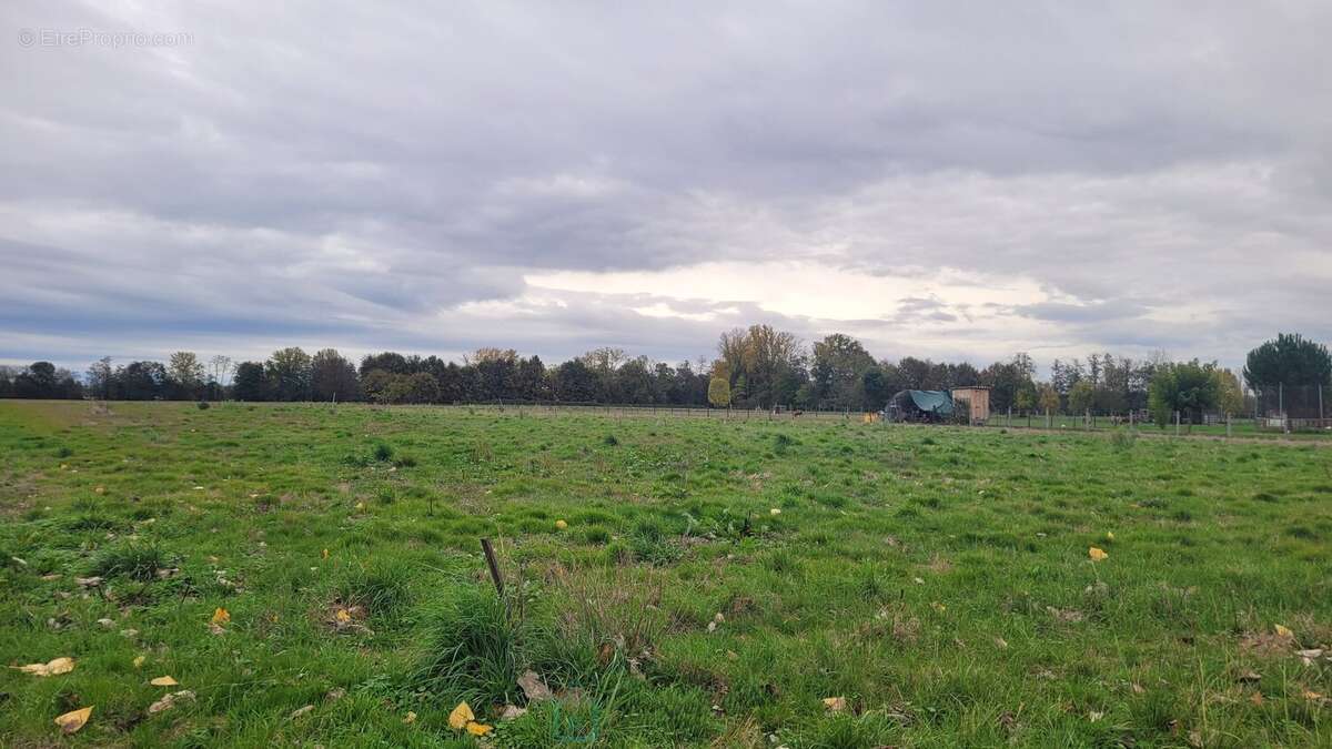 Terrain 5000m²: permis deja accepte! - photo 3