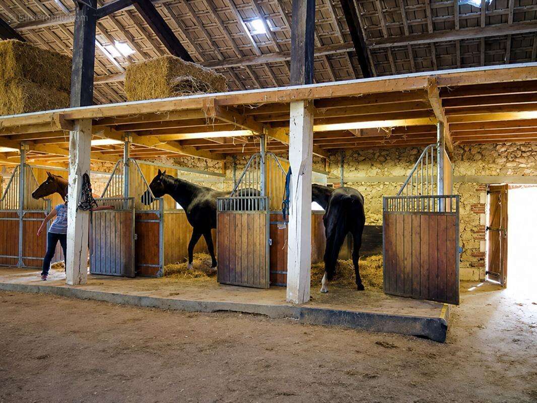 Domaine de caractère avec installations équestres exceptionnelles sur 40 hectares - photo 16