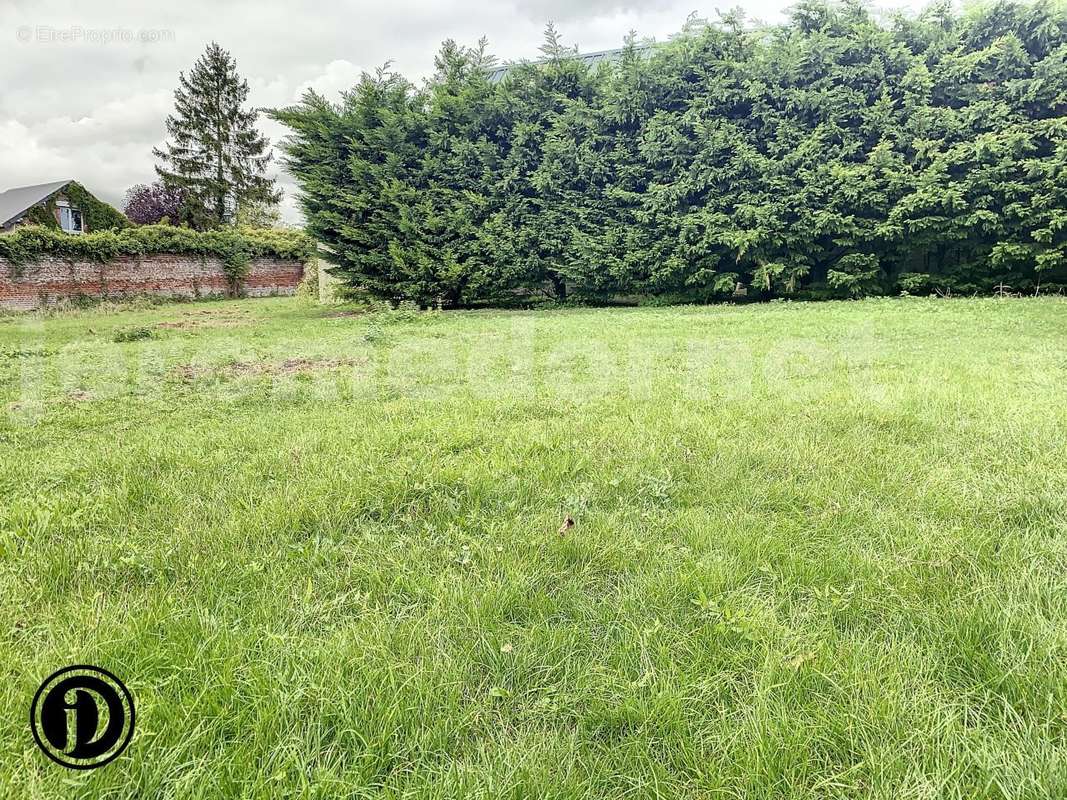 danel-1694609832_1694610254_10347_56302b0 - Terrain à MONTREUIL-SUR-BRECHE