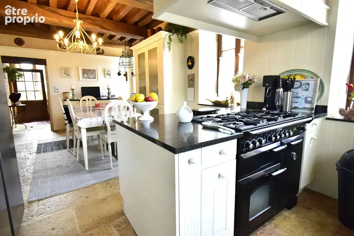 ST MARTIN EN BRESSE, Maison de maître avec 1ha37a de terrain - photo 6
