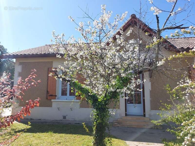 Maison à SAINT-MEDARD-DE-GUIZIERES