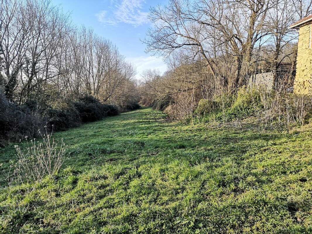 Propriété à vendre proche de Marciac: Maison 4 chambres, à finir de rénover. Cachée et isolée, on y accède par un long chemin. T - photo 19