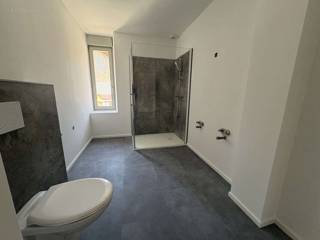 Appartement à LA CLUSE-ET-MIJOUX