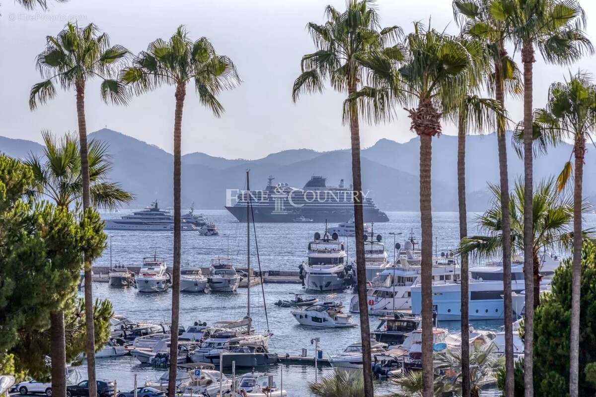 Vente Appartement La Croisette Cannes - photo 6