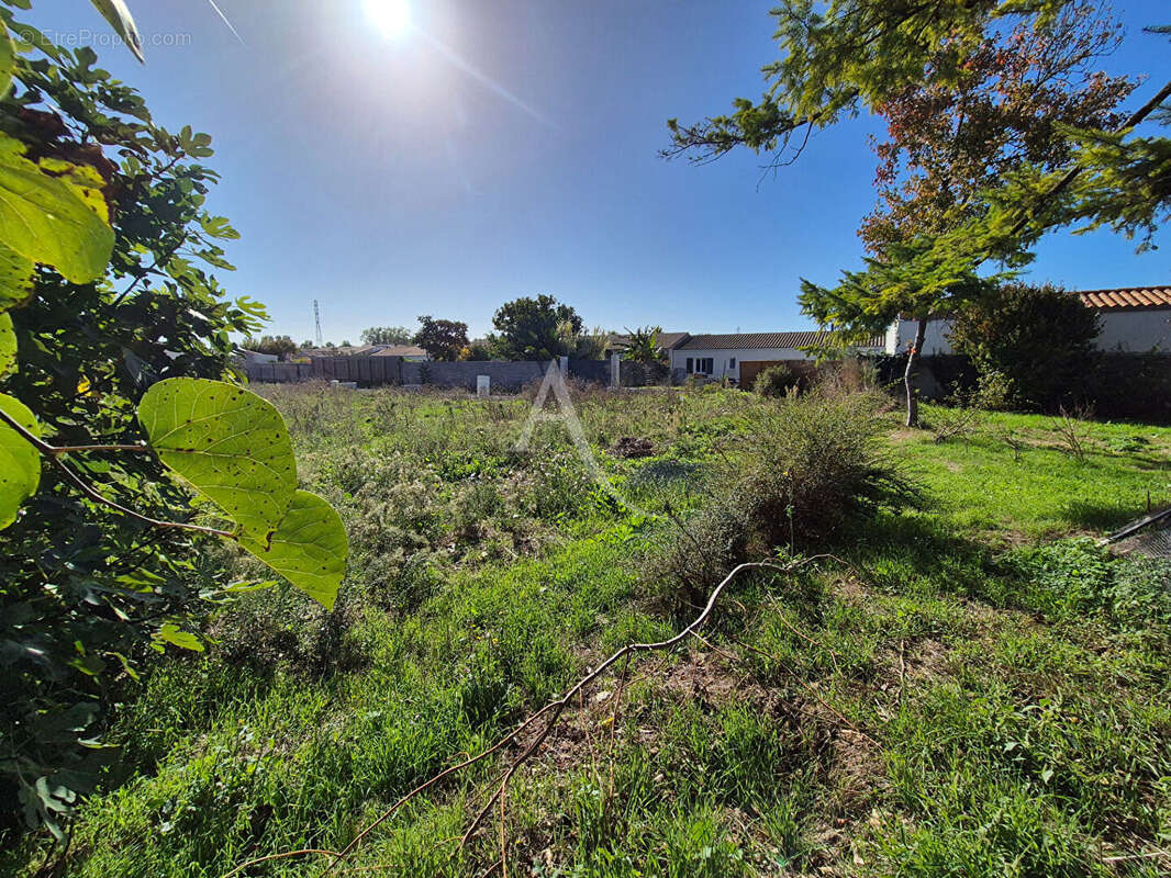 Terrain à VILLEDOUX