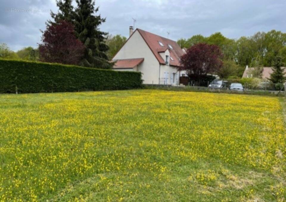 Terrain à SAULX-LES-CHARTREUX