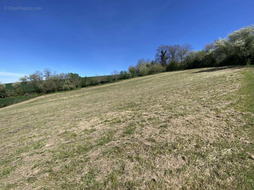 PRAIRIE - Maison à MONTMOREAU-SAINT-CYBARD