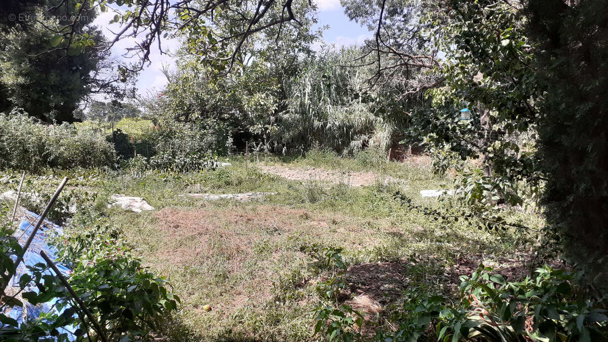 Appartement à ABEILHAN