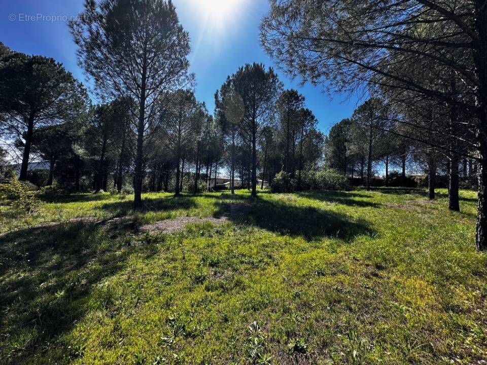 Terrain à ROQUEBRUNE-SUR-ARGENS