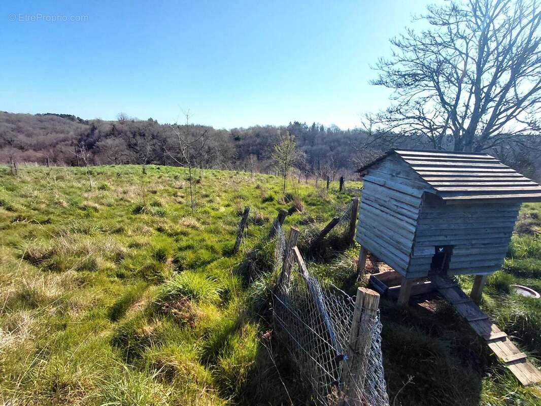 Photo 4 - Maison à SAINT-SAUD-LACOUSSIERE