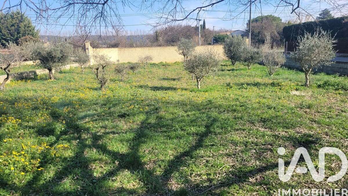 Photo 7 - Terrain à MORIERES-LES-AVIGNON