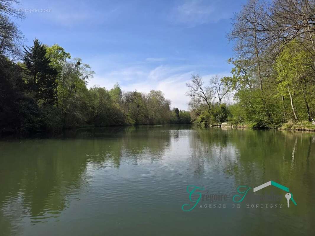 Maison à MONTIGNY-SUR-LOING