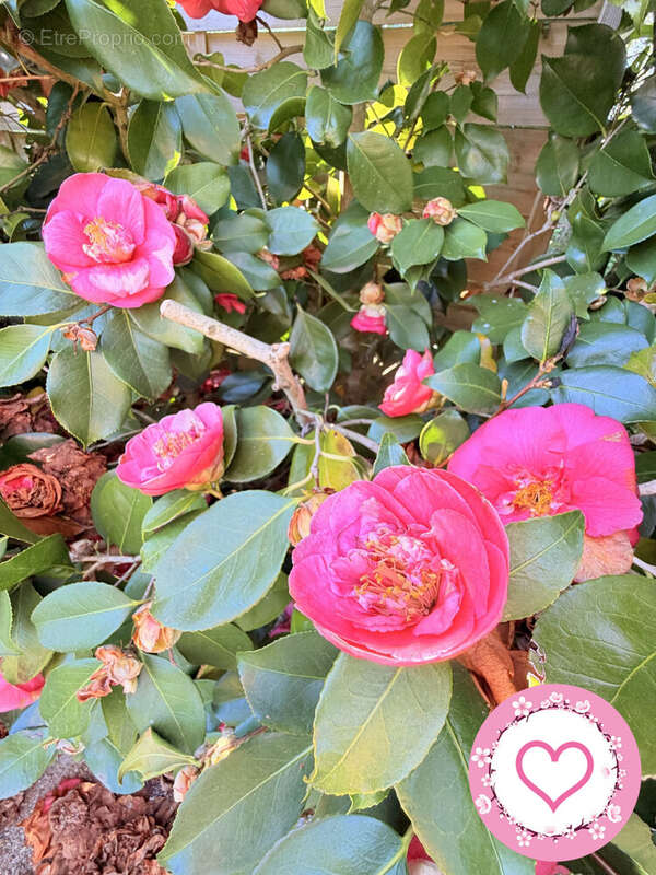 Maison à SULLY-SUR-LOIRE