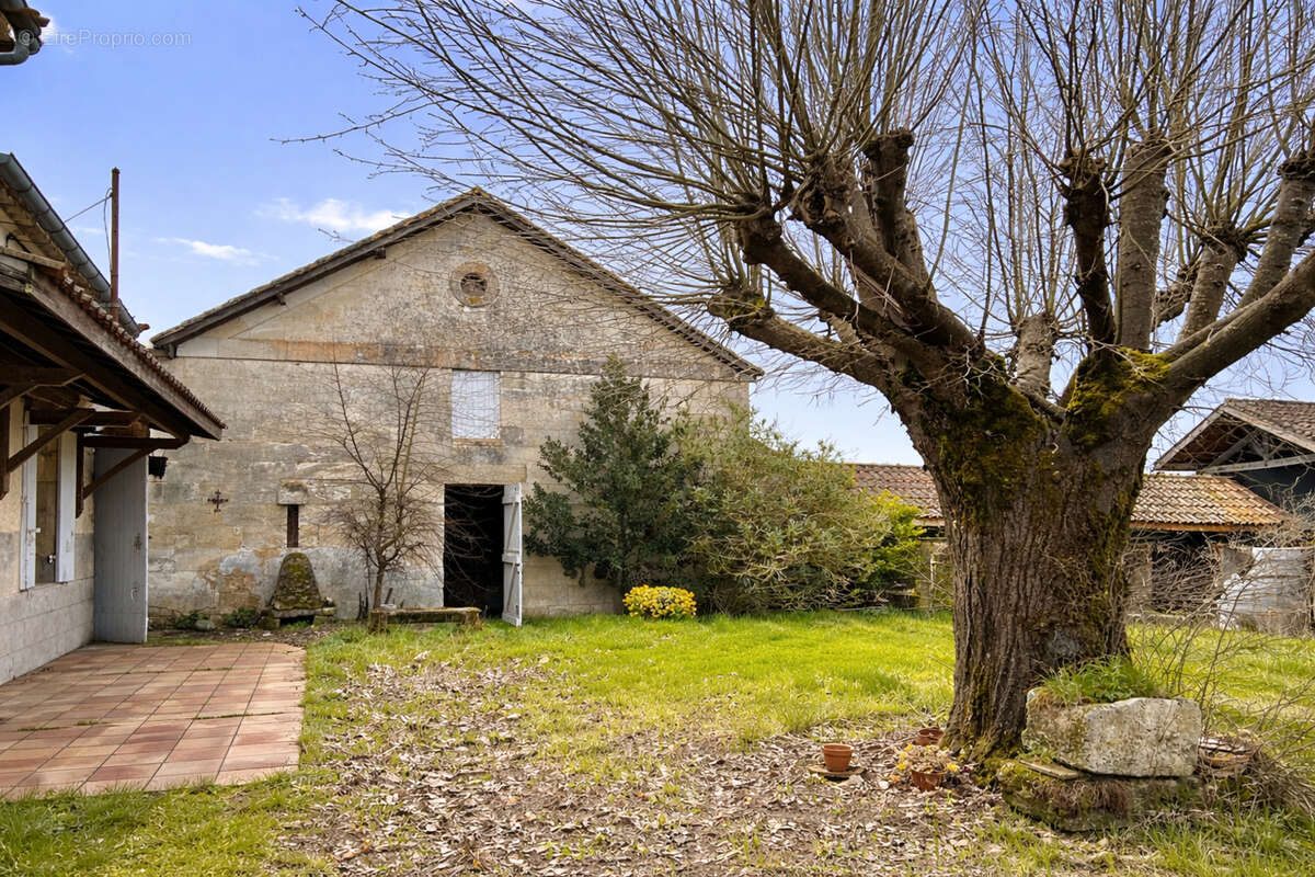 Terrain à SAINT-EMILION