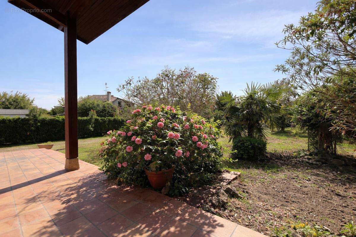 Maison à TOURNEFEUILLE