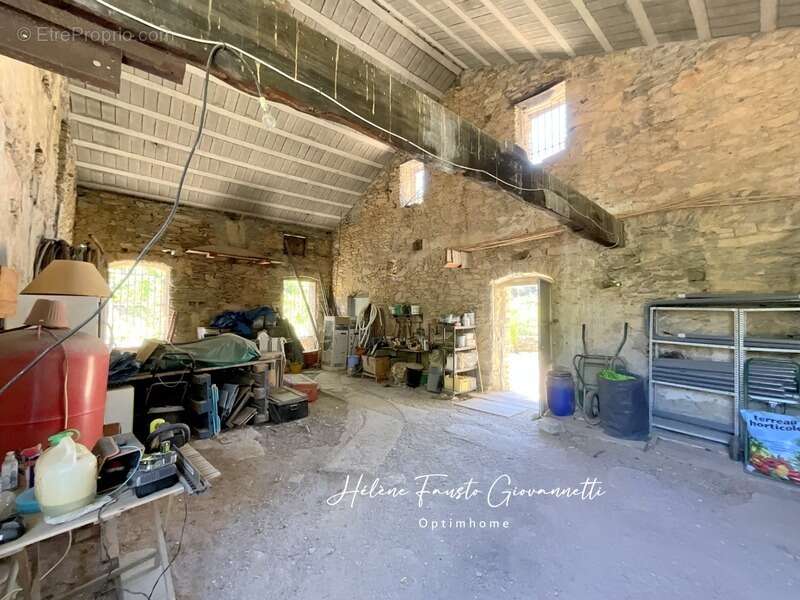Ancien Moulin en Pierre avec dépendances sur près de 2,3 hectares – Santo-Pietro-di-Tenda - photo 45