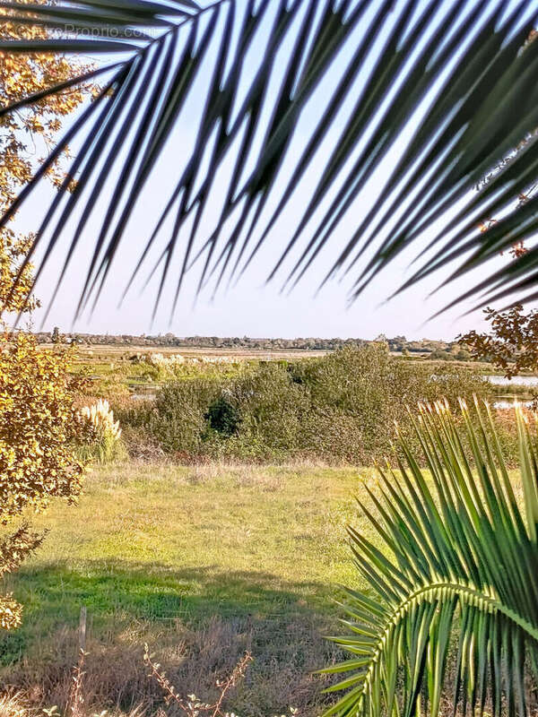 Appartement à PAREMPUYRE