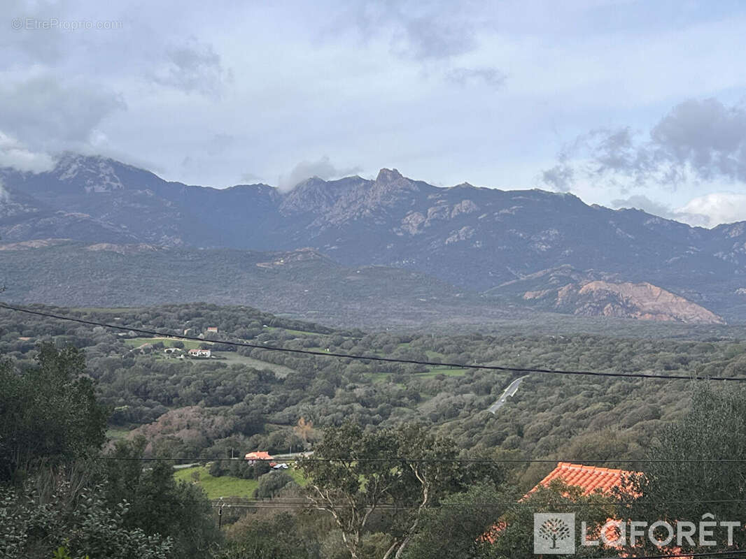 Terrain à FIGARI