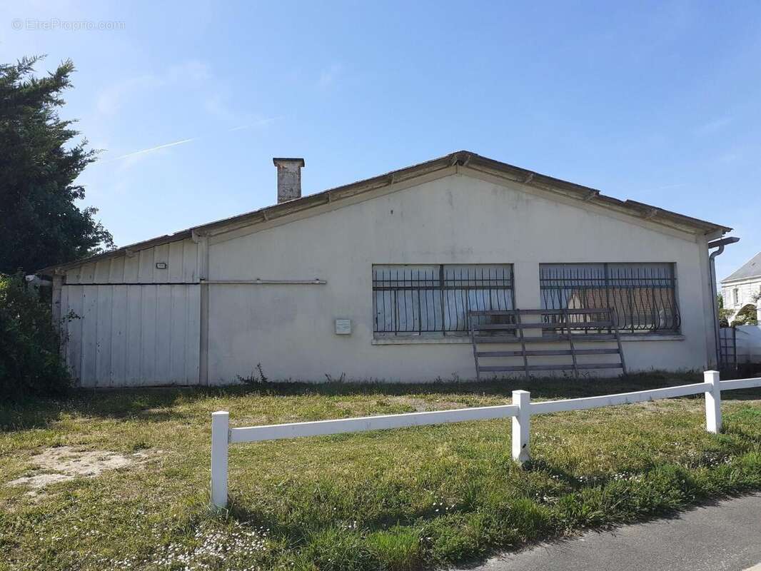   - Appartement à MONTREUIL-BELLAY