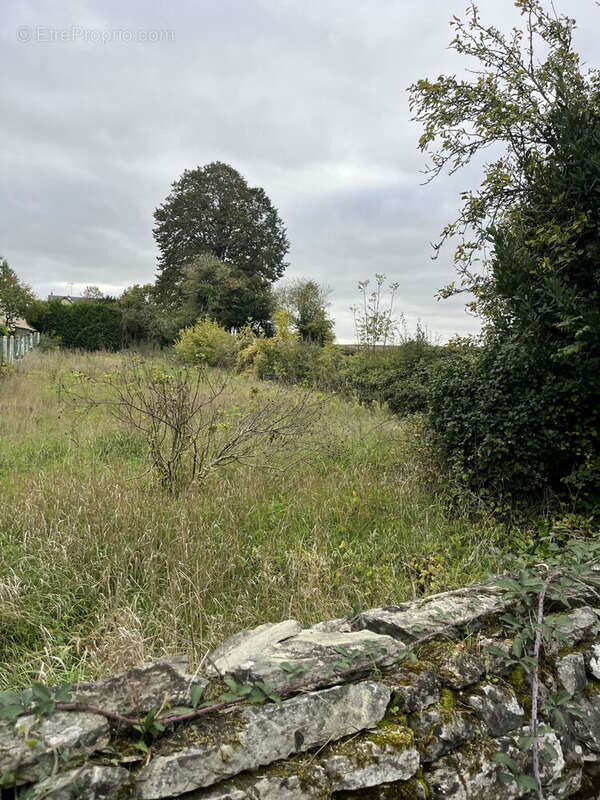 Terrain à GESNES-LE-GANDELIN