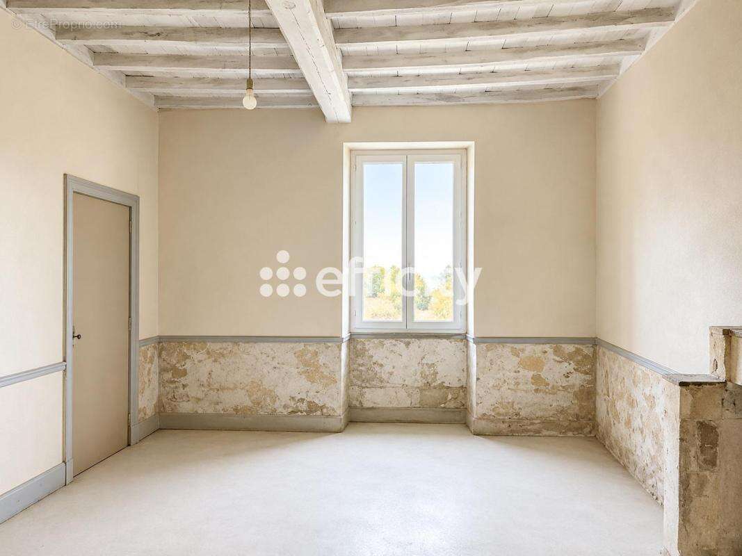 Maison 9 pièces 354 m² à vendre à Saint-Ciers-Du-Taillon (17240) - photo 8