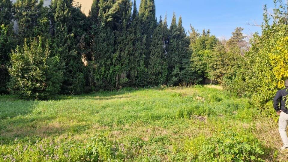 Terrain à MOUGINS