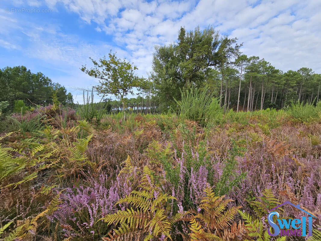 Terrain à MOLIETS-ET-MAA