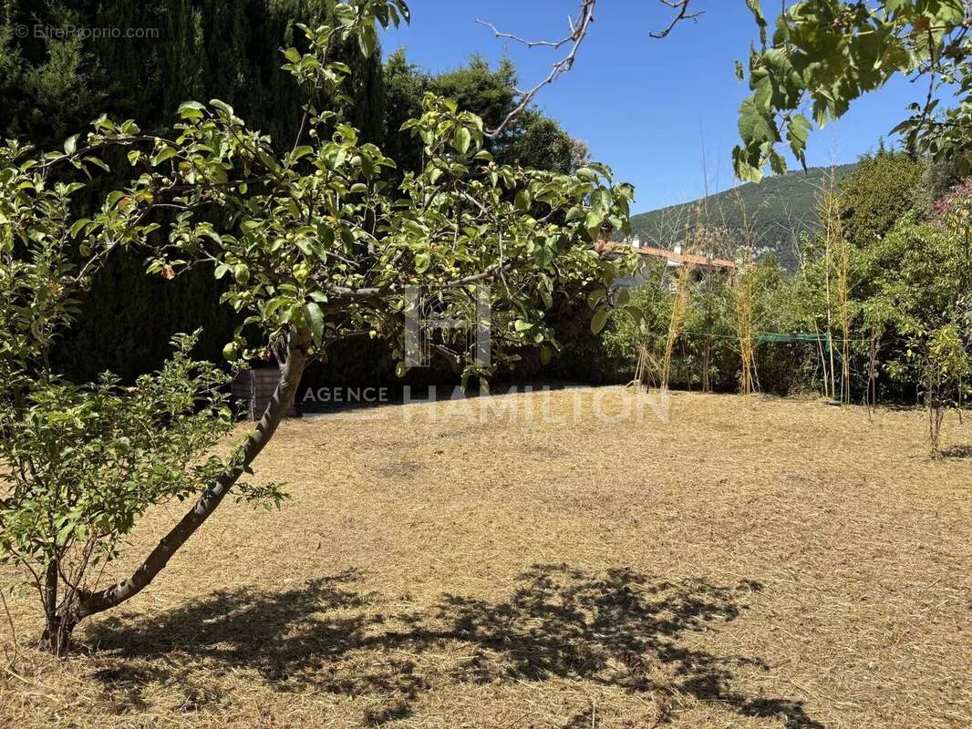 Maison à CHATEAUNEUF-GRASSE