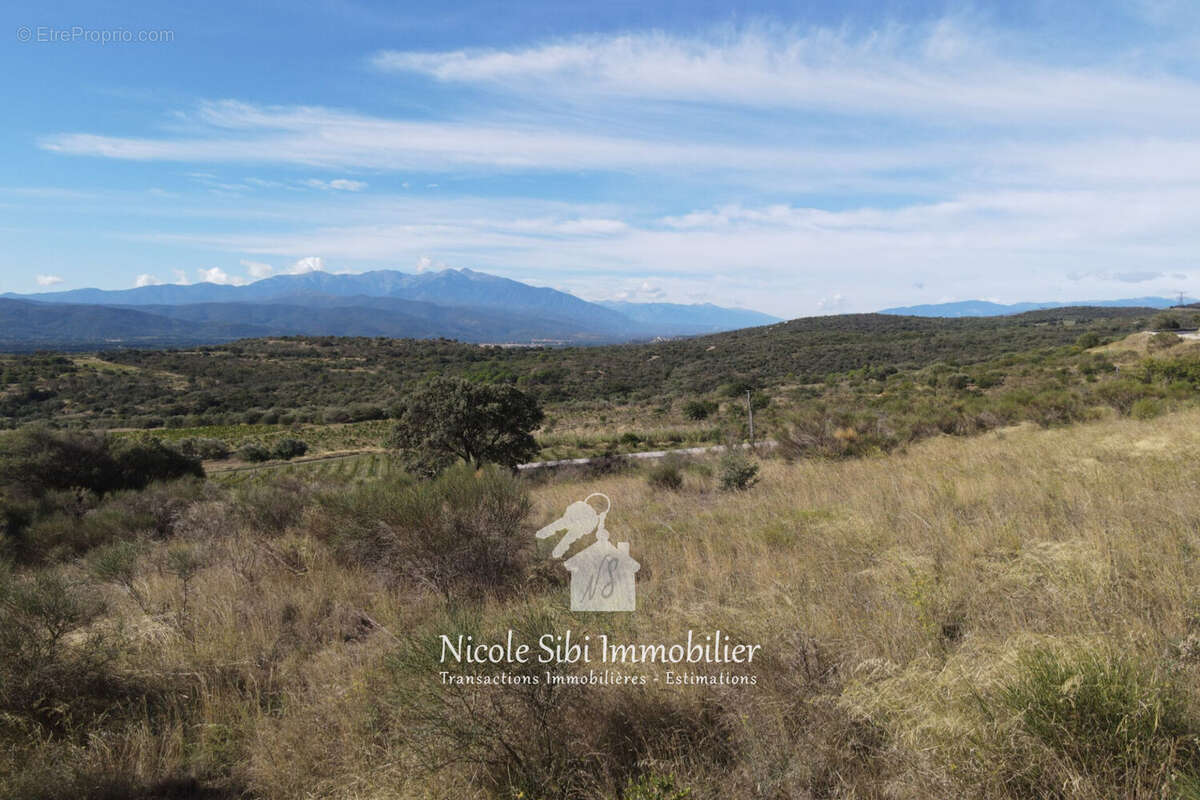 Terrain à MILLAS