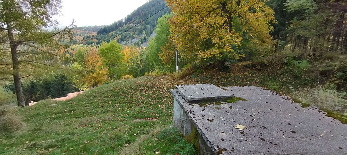 Maison à SAINT-ANDEOL-DE-FOURCHADES