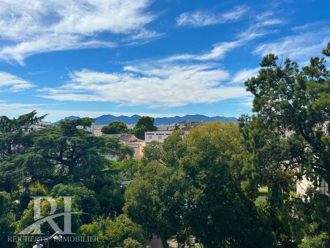 CANNES Montfleury 3P de 105m2 avec terrasse - photo 2