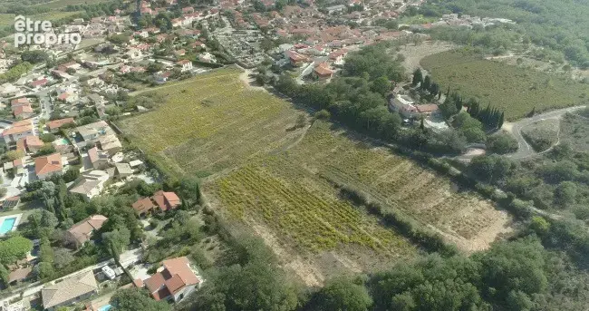 Terrain à BANYULS-DELS-ASPRES