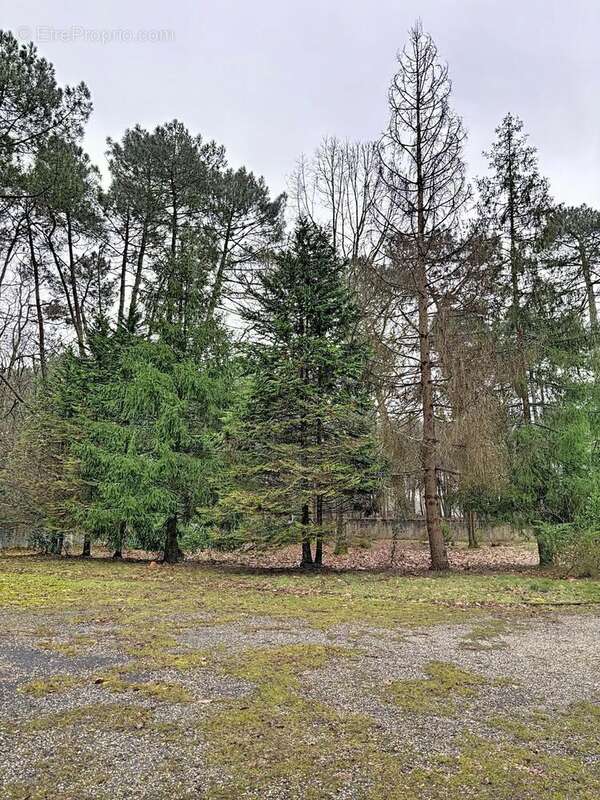 Photo 7 - Maison à LE PIAN-MEDOC