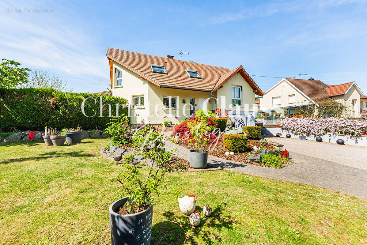 Maison à AVOLSHEIM