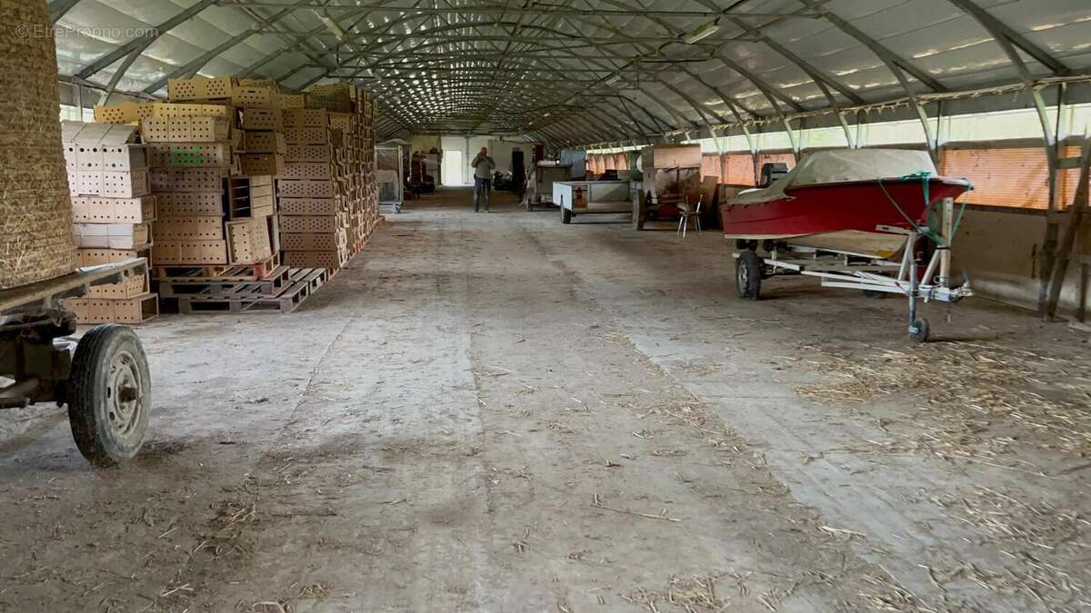 Photo 2 - Maison à SAINT-DIDIER-D'AUSSIAT