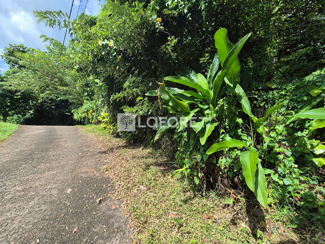 Terrain à LE LAMENTIN