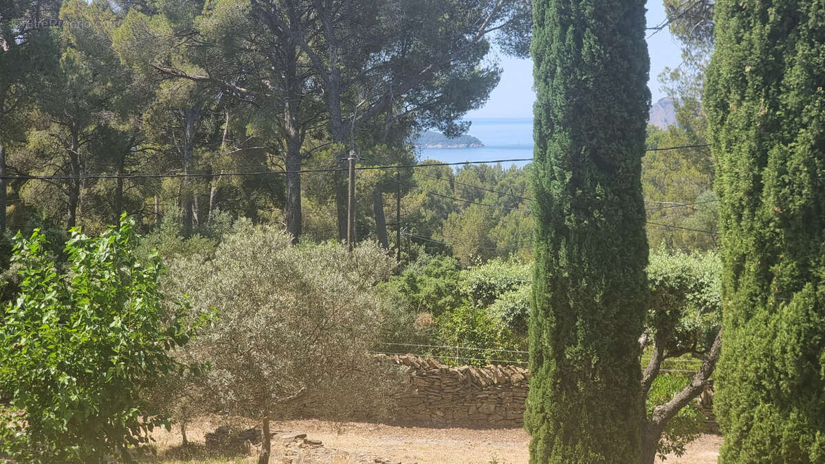 LA CIOTAT VUE MER   Quartier du Baguier   Propriété d'exception avec vue mer - photo 10