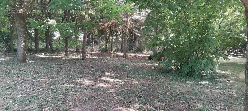 Maison à SAINTE-MAURE-DE-TOURAINE