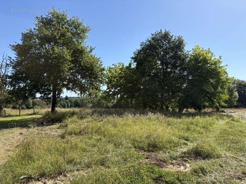 Terrain à ORTHEZ